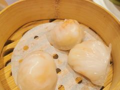 壹号虾饺皇-粤珍轩.创始店.始于2001(含光门店)
