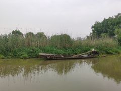 -长兴太湖图影湿地文化园