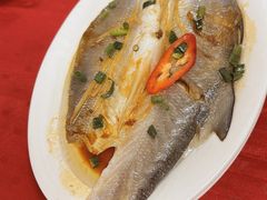 -蛇口康乐快餐鱼仔档(翠苑小区店)