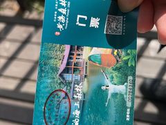 -黄海国家森林公园