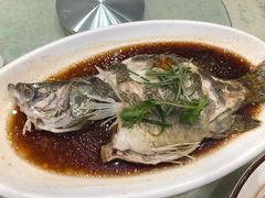-普天和酒楼·新津菜·烤鸭(天津之眼店)