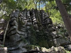 -梭布垭石林景区