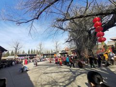 -大槐树寻根祭祖园