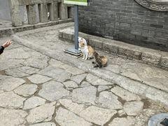 -云龙山
