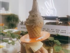 -野人先生现做冰淇淋(北京环宇荟店)