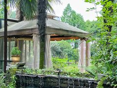 -野蔓果·山野菜(西湖景区·龙井茶田店)