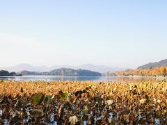 -北山街历史文化街区