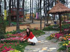 -沂蒙山旅游区云蒙景区(蒙山国家森林公园)