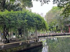 -温江公园