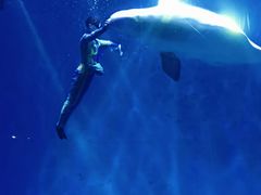 -芜湖新华联大白鲸海洋公园