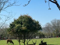 -良渚古城遗址公园