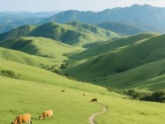 -大姆山草场