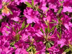 -海上海弘基休闲广场