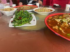 -y牌太安鱼