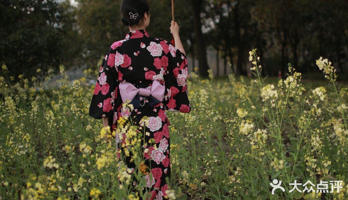 听说今年世纪公园种了一片彩色油菜花,果断安排上!