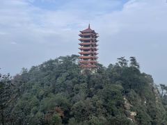 -缙云山景区