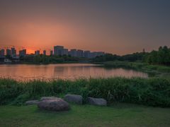 -尚贤河湿地