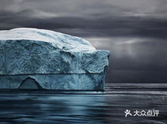 这些冰山画作是美国艺术家扎丽娅·福尔曼为了实现已故母