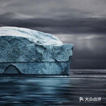 这些冰山画作是美国艺术家扎丽娅·福尔曼为了实现已故母