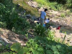 -北仑森林植物园