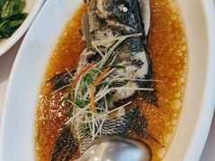 -骏莱海鲜鱼港(五角场店)