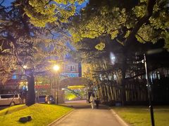 -叶叶菩提·晋福宫