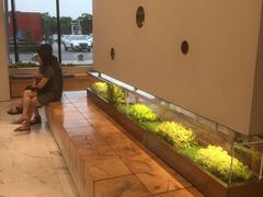 -喜茶(永旺梦乐城店)