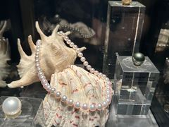 -中国地质博物馆
