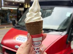 -富豪雪糕车流动点(尖沙咀店)