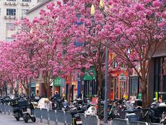 -1点点(清湖地铁店)