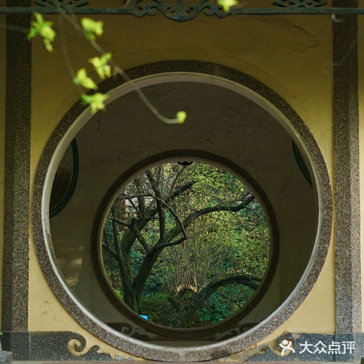 武汉植物园里的绿野仙踪