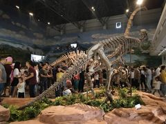 -自贡恐龙博物馆