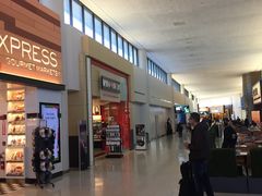 -纽瓦克自由国际机场