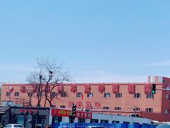 -北京西鹤年堂中医医院