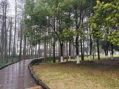 -月湖风景区
