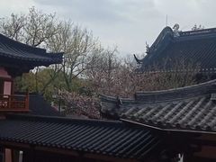 -寒山寺