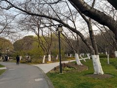 -范蠡湖公园