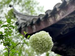 -拙政园