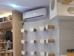 -喵园·猫主题咖啡厅·撸猫·猫咖(国贸店)