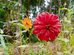 -昆明市金殿名胜区