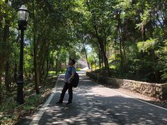 -潜山国家森林公园