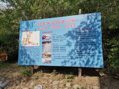 -第五季龙水凤港生态露营农场