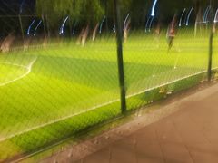 -光明港公园
