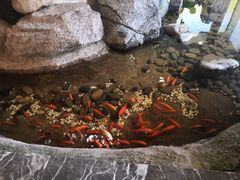 -渔家大院·地道威海菜(石岛店)