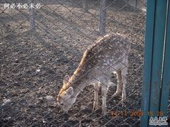 -北京麋鹿生态实验中心