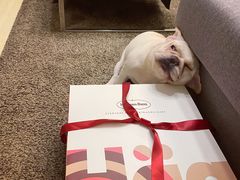 -哈根达斯(武汉天地店)