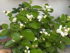 -上海大学生体育中心游泳馆(松江店)