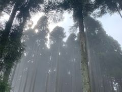 -明月山天沐温泉度假村