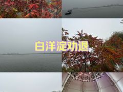 -白洋淀景区