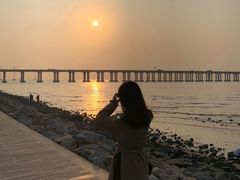 -宝安西湾红树林湿地公园